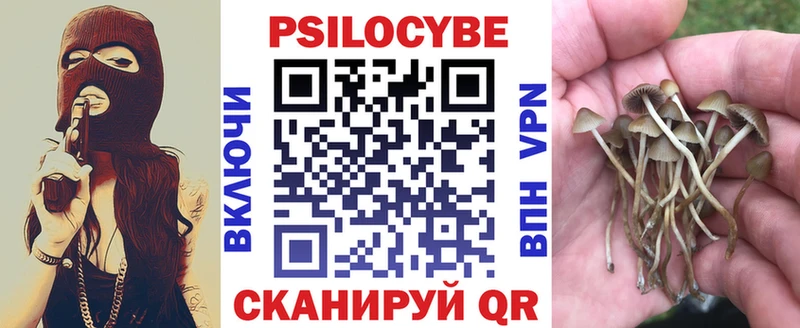 где купить наркотик  Емва  Псилоцибиновые грибы Psilocybine cubensis 